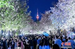 清明假期天津文旅市场火热 接待游客人次和花费同比“双增”